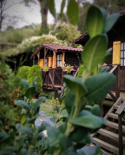 La Posada Cercedilla