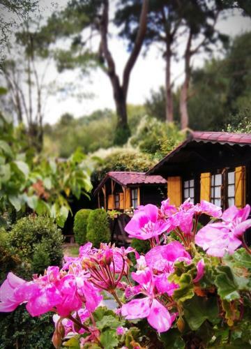 La Posada Cercedilla