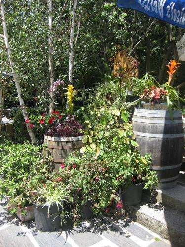 Hotel Rural Los Frutales