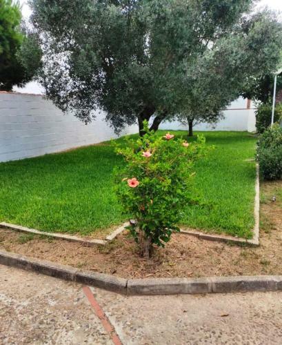 Villa Chalet Con Piscina Privada Chiclana