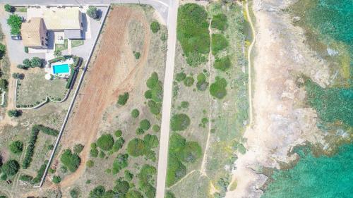 Colonia de Sant Pere - 278949