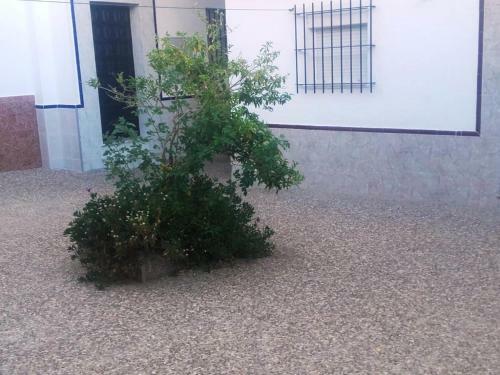 Apartamento Cerca Del Mar Con Barbacoa