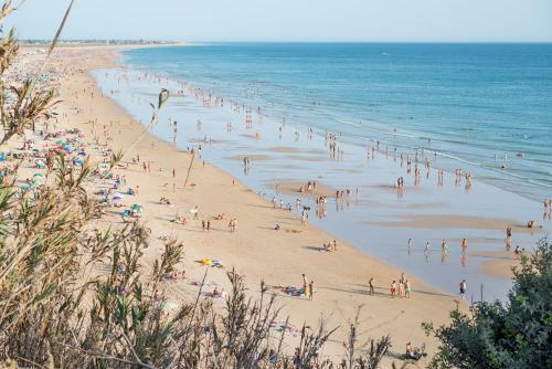Apartamento Bonito Piso En Conil
