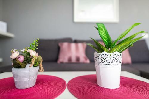 Apartamento Nuevo Loft Vistas