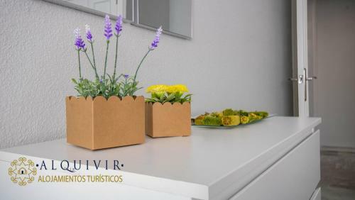 Apartamento Alquivir Alfaros 1 Habitacion