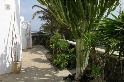 Villa Maluhia Beachfront-exterior Jacuzzi Sea View