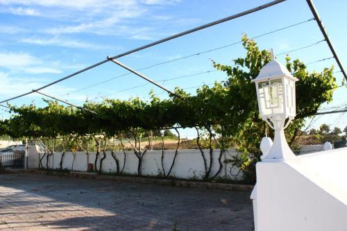 Hostal Sunshine