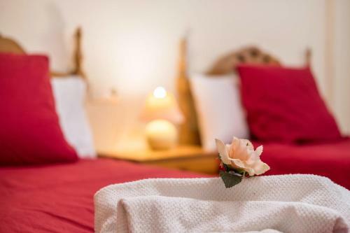 Apartamento En El M�dano
