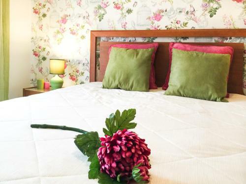 Vila Sul Apartments By Ocvillas