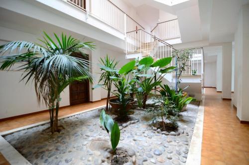 Apartamento Jardins Del Mar 58