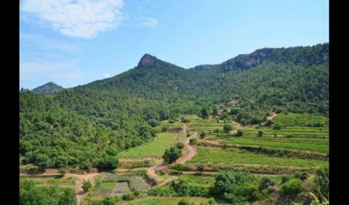 Villa In Falset Sleeps 6 With Pool