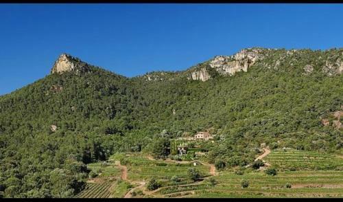 Villa In Falset Sleeps 6 With Pool
