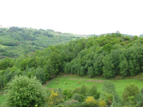 Apartamento Ap Rural 4