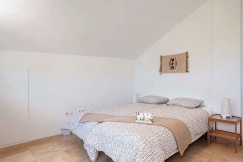 La Roca Casa 5