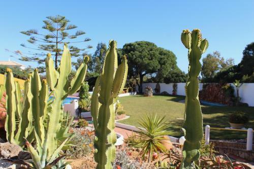 Casa Areias Apartamentos Tur�sticos