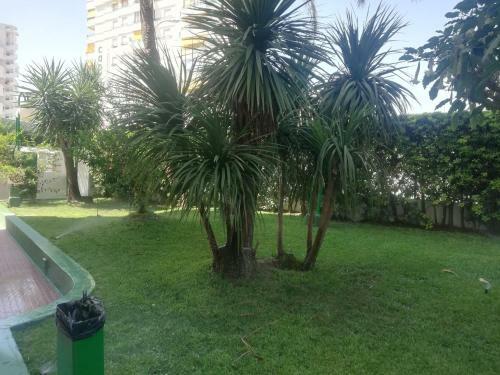 Apartamento Canc�n III