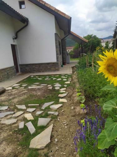 Apartamento Casa Cotefablo Alojamiento Ara Gavin Biescas