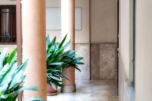 Apartamento Solares