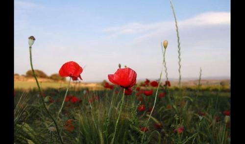 Guardia de Tremp Villa Sleeps 14 With Pool
