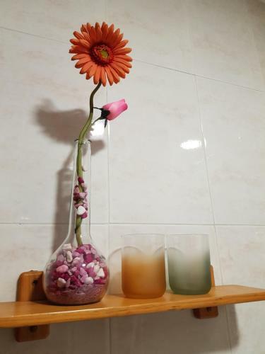 Hostal Pension La Vega