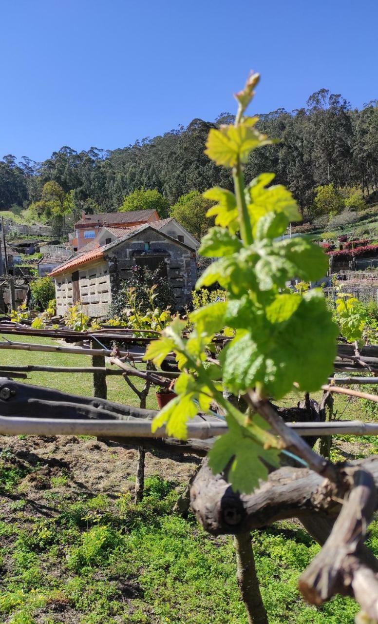 Agroturismo Casa Rural A Bouci�a