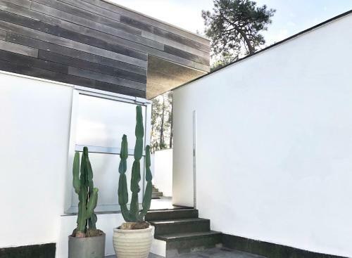Apartamento Morada Do Pablinho