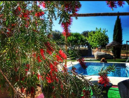 Bed & Breakfast Monte Santa Catarina