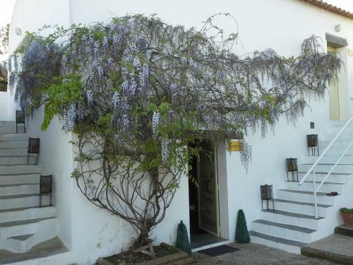 Hostal Horta Da Coutada