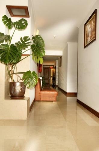 Hotel Mira Rio