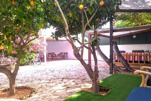 Roaz De Bandeira Hostel
