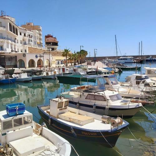 Hauzify I Apartament Alguer
