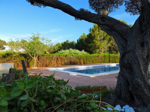 Villa Doree 341