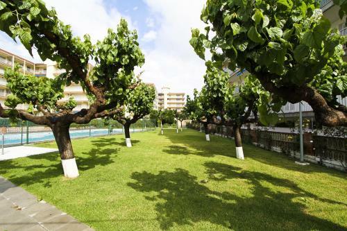 Apartamento Pineda 3 Planet Costa Dorada