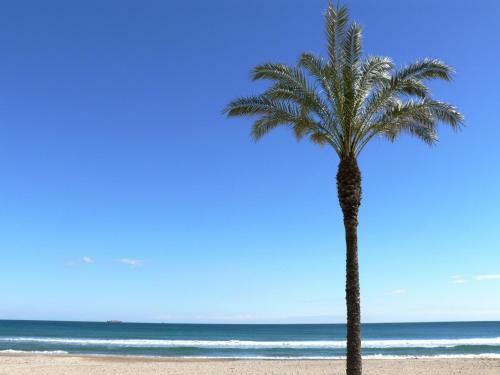Apartamento Turismar - Punta Prima