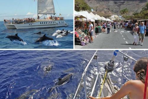 Apartamento Harbour 332 In Puerto de Mogan