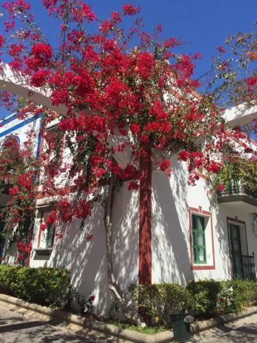Captains House Playa De Mogan