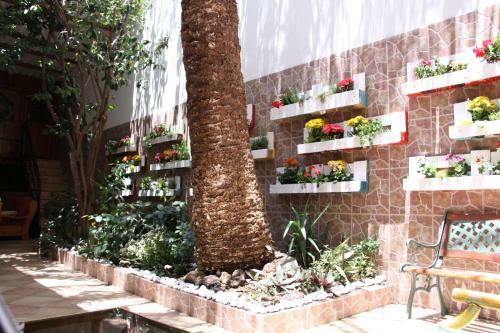 Albergue The Garden Bed And Breakfast