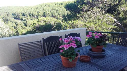 Albergue Guincho Wayra House