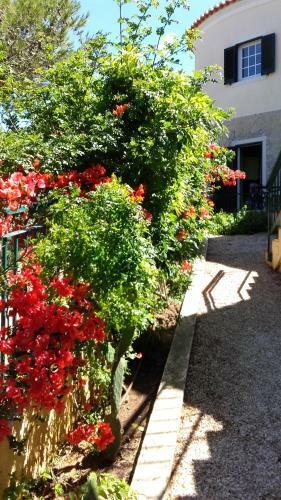 Albergue Guincho Wayra House