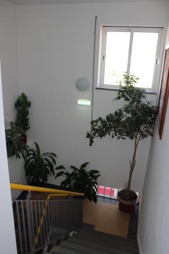 Hostal Dom Fernando