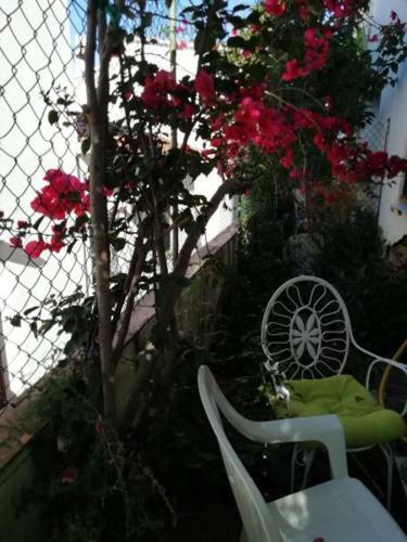 Hostal Camino de Santiago Guesthouse