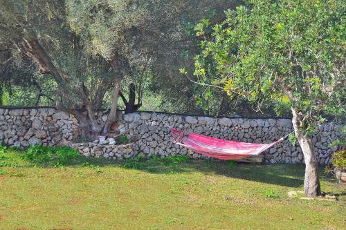 Son Rossignol Llubi Finca 062