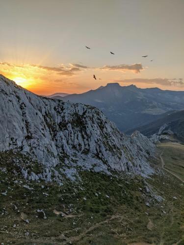 Apartamento Olmares Picos de Europa - 4 Personas