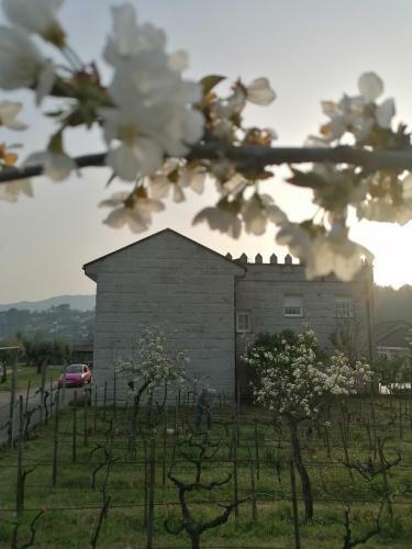 Casa Rosalia O Pazo