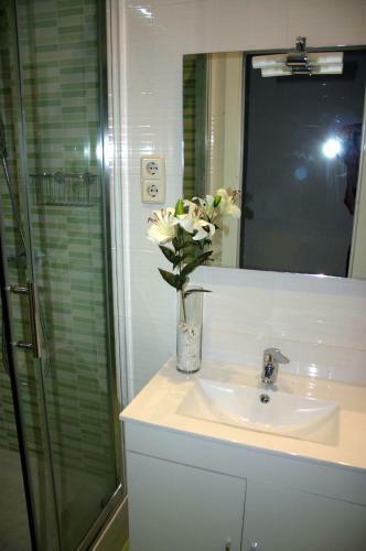 Apartamento Reina Sof�a Acogedor