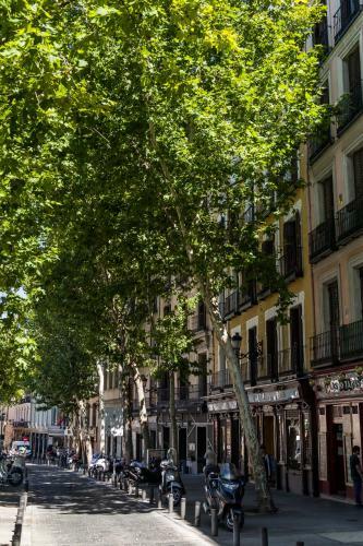 Apartamento Pyr Select Plaza Santa Ana