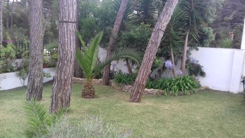 Casa Branca