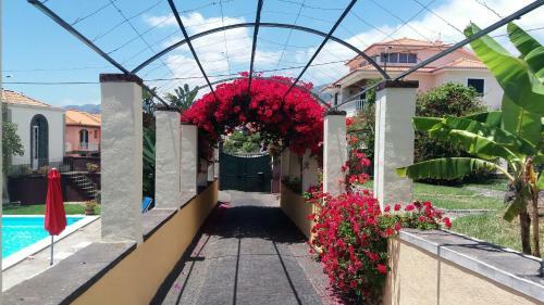 Apartamento Purple Studio