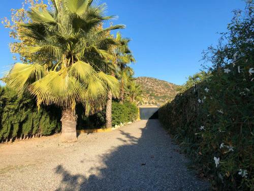 Villa With 3 Bedrooms In Malaga With Private Pool And Wifi