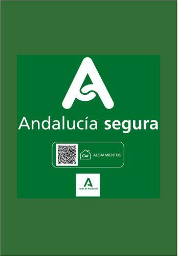 Apartamento Holidays2malaga Soho Penthouse